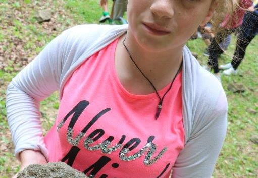 IMG 2531 (889 visits) IMG 2531