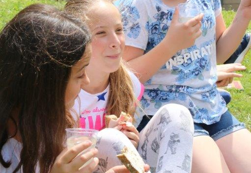 IMG 2596 (644 visits) IMG 2596