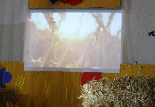 IMG 0130 (1313 visits) IMG 0130