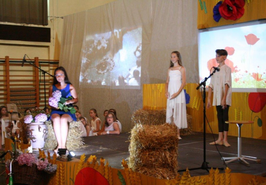 IMG 0176 (784 visits) IMG 0176