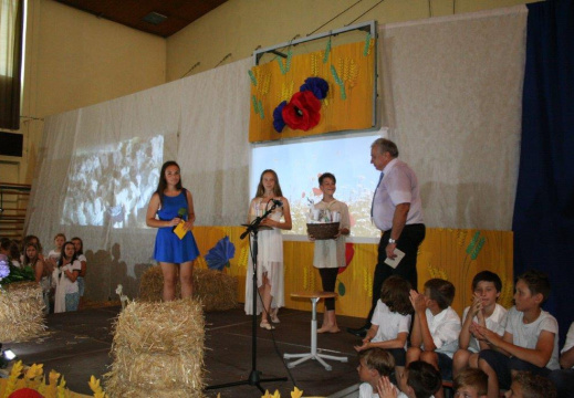 IMG 0185 (804 visits) IMG 0185