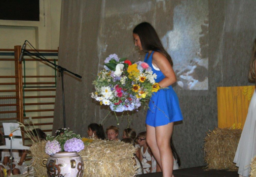 IMG 0181 (704 visits) IMG 0181