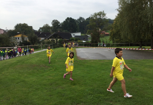 IMG 0685 (1271 visits) IMG 0685