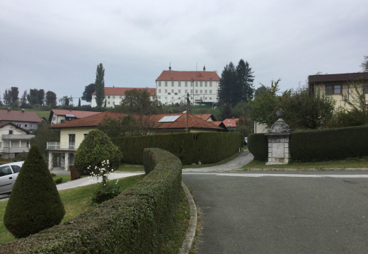 IMG 0813