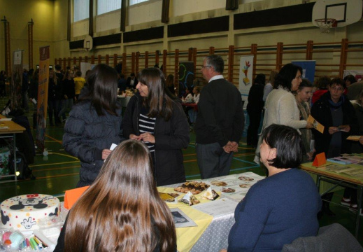 IMG 0417 (1345 visits) IMG 0417