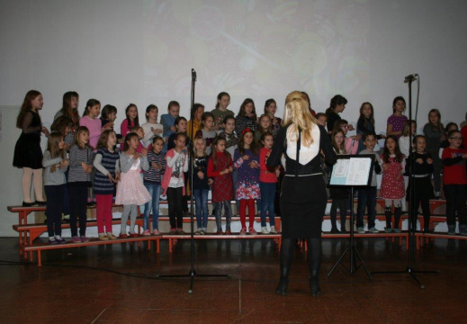IMG 0510 (1118 visits) IMG 0510