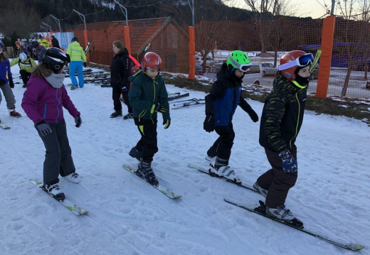 IMG 0481 (4905 visits) IMG 0481