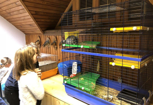 IMG 0483 (4873 visits) IMG 0483
