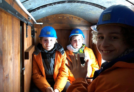 IMG 0649
