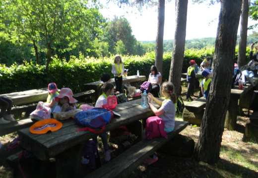 DSCN0606 (1369 visits) DSCN0606