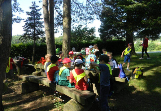 DSCN0607 (1376 visits) DSCN0607