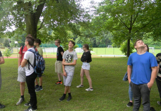 DSCN7077 (1319 visits) DSCN7077