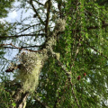 IMG-2972