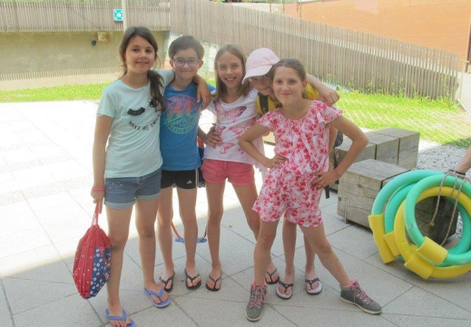 IMG 2345 (1416 visits) IMG 2345