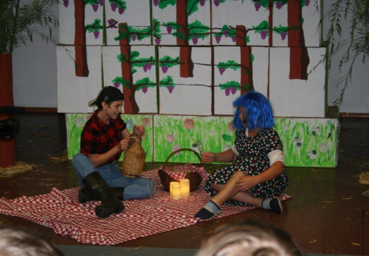 IMG 0815 (980 visits) IMG 0815
