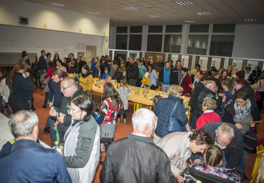 2018 bozicno praznovanje Radgona 071 (1324 visits) 2018 bozicno praznovanje Radgona 071