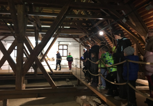 IMG 5207 (1806 visits) IMG 5207