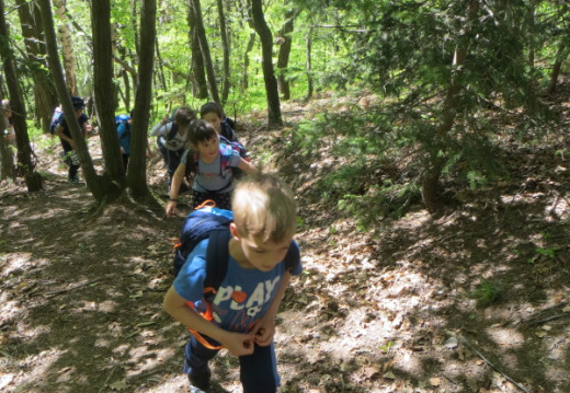 IMG 0021 (1107 visits) IMG 0021