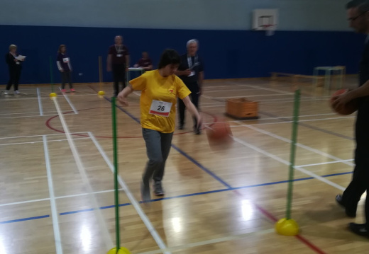 IMG 20190522 111241 (1044 visits) IMG 20190522 111241