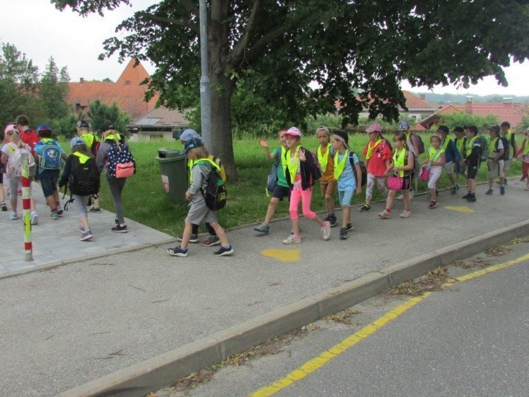 IMG 2543