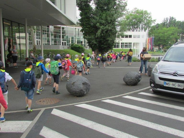 IMG 2546