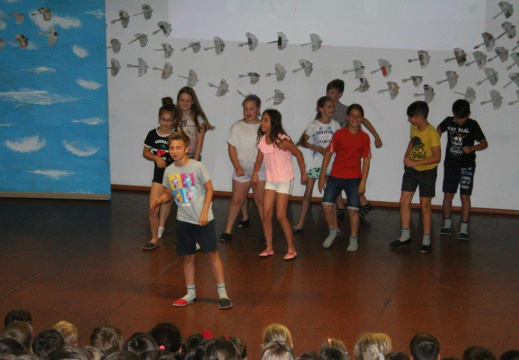 IMG 1278 (1929 visits) IMG 1278