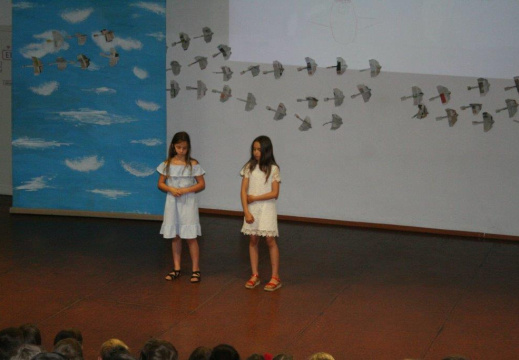 IMG 1284 (1880 visits) IMG 1284