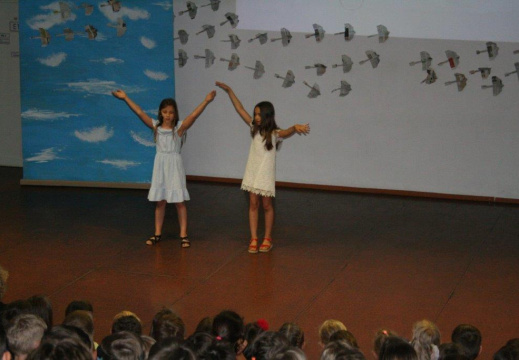 IMG 1285 (2298 visits) IMG 1285