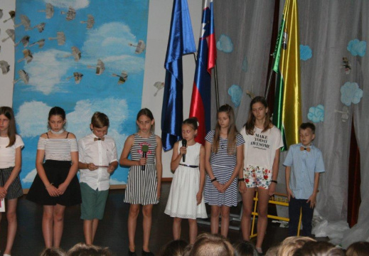 IMG 1336 (4186 visits) IMG 1336