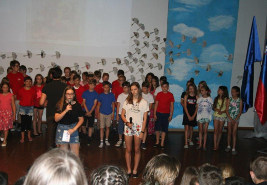 IMG 1347 (3947 visits) IMG 1347