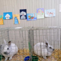 IMG 20191122 085516 resized 20191124 070849620 (1799 visits) IMG 20191122 085516 resized 20191124 070849620