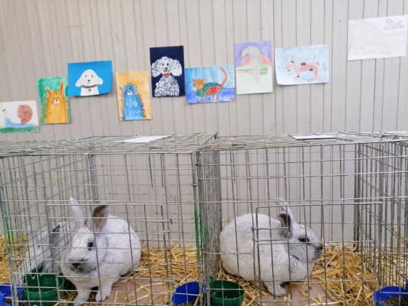 IMG 20191122 085516 resized 20191124 070849620 (1797 visits) IMG 20191122 085516 resized 20191124 070849620