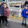 IMG 20191122 085946 resized 20191124 070850731 (1790 visits) IMG 20191122 085946 resized 20191124 070850731