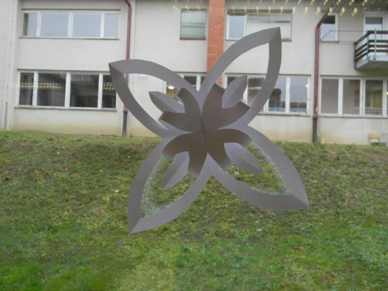DSCN7398