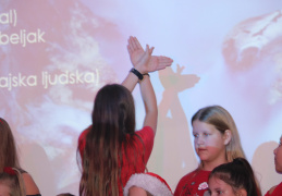 IMG 7238 (252 visits) IMG 7238