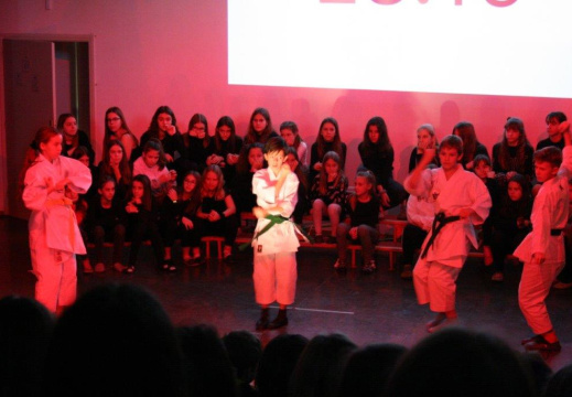 IMG 1570 (1545 visits) IMG 1570