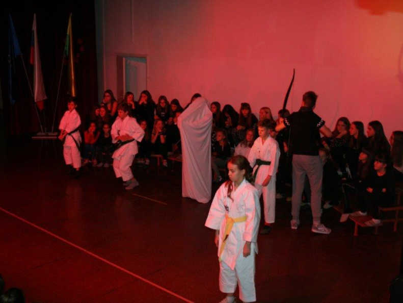 IMG 1551 (1810 visits) IMG 1551