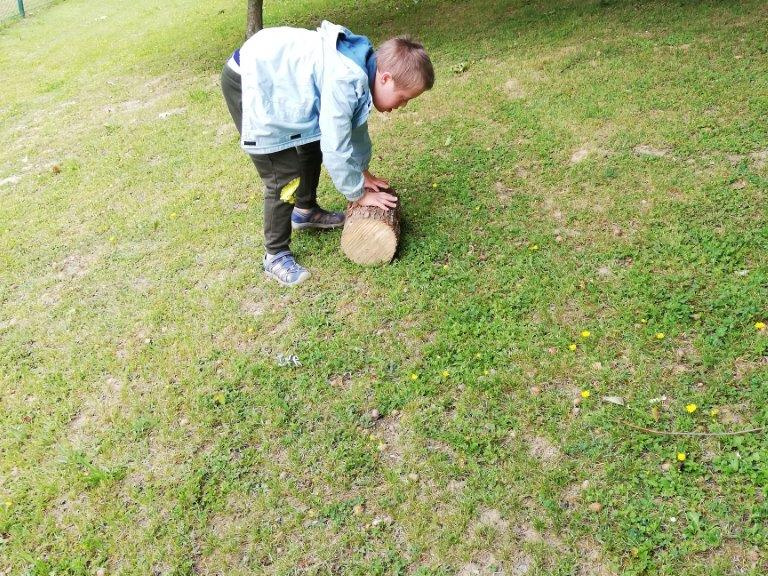 IMG 20200529 094141