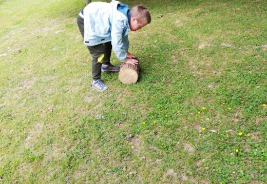 IMG 20200529 094141 (1768 visits) IMG 20200529 094141