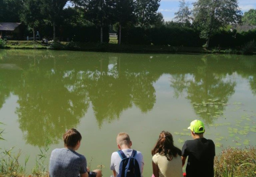 IMG 20200923 110322