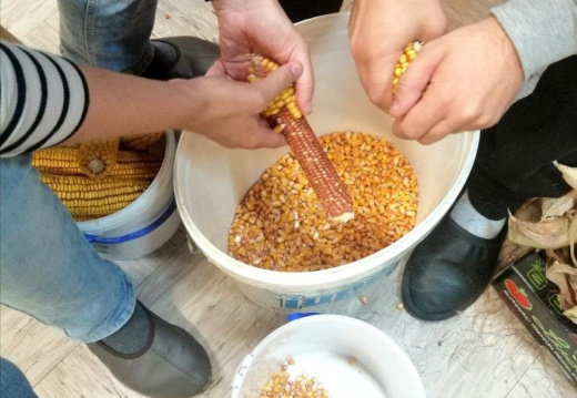 Ohranjanje tradicije na PŠ