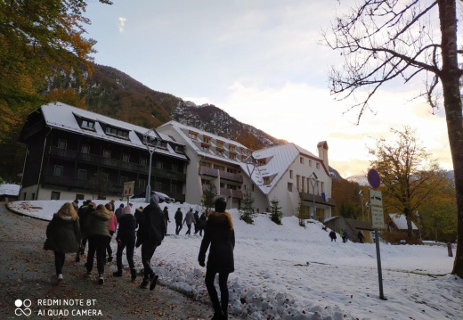 IMG 20201012 165302 (1855 visits) IMG 20201012 165302