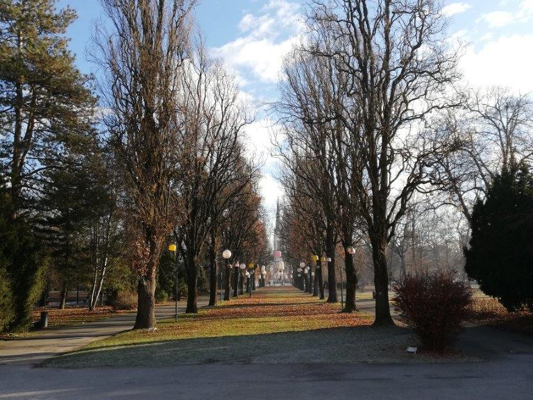 IMG 20211220 095750