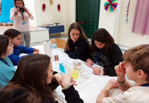 batch IMG 4890 (972 visits) batch IMG 4890