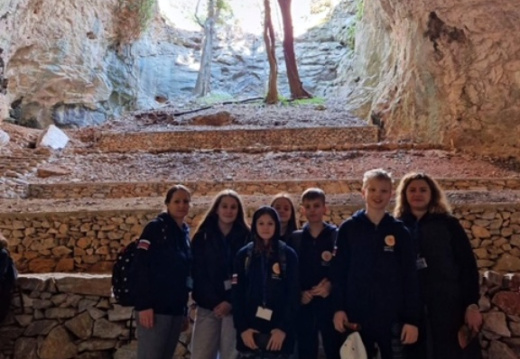batch IMG 4931 (981 visits) batch IMG 4931