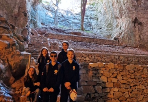 batch IMG 4936 (895 visits) batch IMG 4936