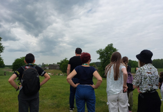 c685de78-f2de-47dc-b087-3976001fe7ab