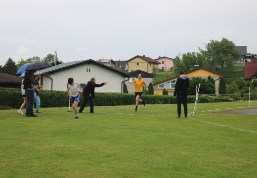 B IMG 6931