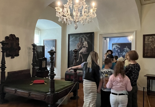 IMG 2215 (849 visits) IMG 2215
