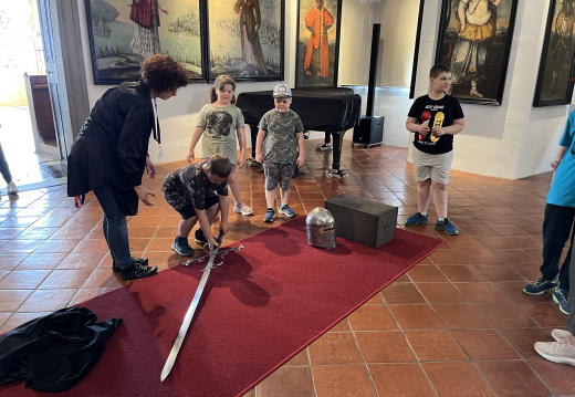 IMG 2217 (894 visits) IMG 2217